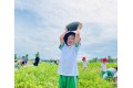 Thu hoạch quả dưa hấu