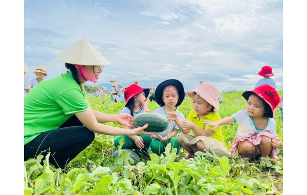 Thu hoạch quả dưa hấu