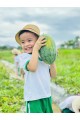 Thu hoạch quả dưa hấu