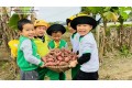 THU HOẠCH KHOAI LANG CÙNG CÁC CHÚ CÁ NEMO